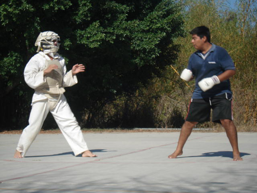 Nippon Kempo - UMAR Campus Puerto Escondido