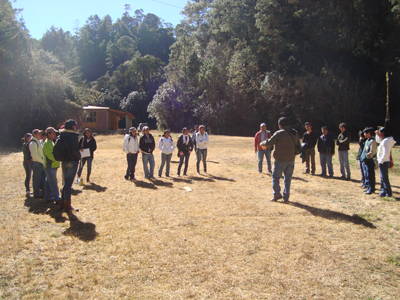 Ingeniera Forestal