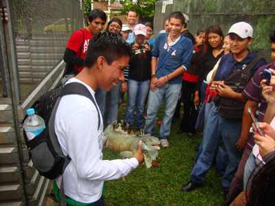 Licenciatura en Zootecnia